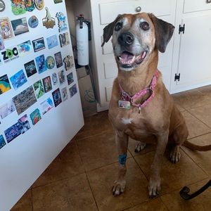 Trade with @goldgettergirl ♥️💕